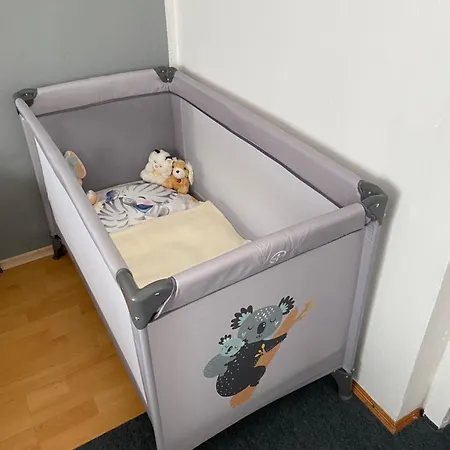 Accommodatie bij particulieren Apartma Ella